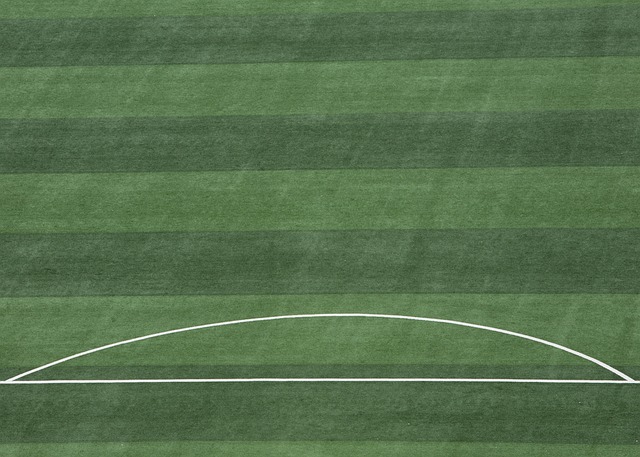 布里兰主场迎战江原 FC ，亚冠关键战即将打响