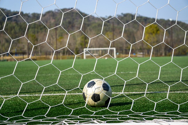 深圳队外援状态火热