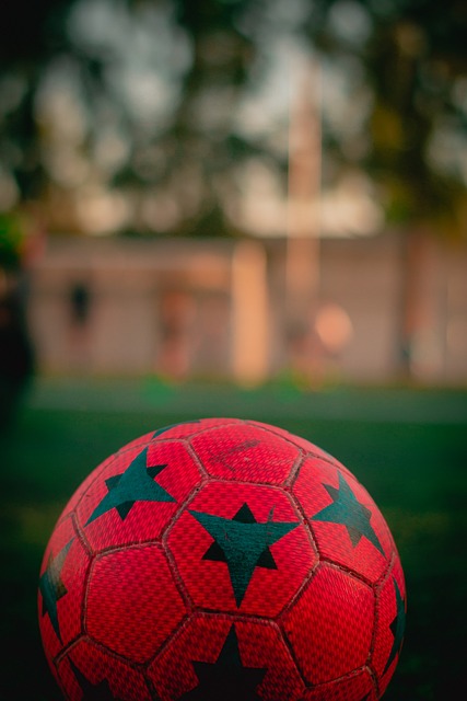 勇创佳绩！商洛籍运动员在全国残运会射箭射击项目中斩获3金1铜